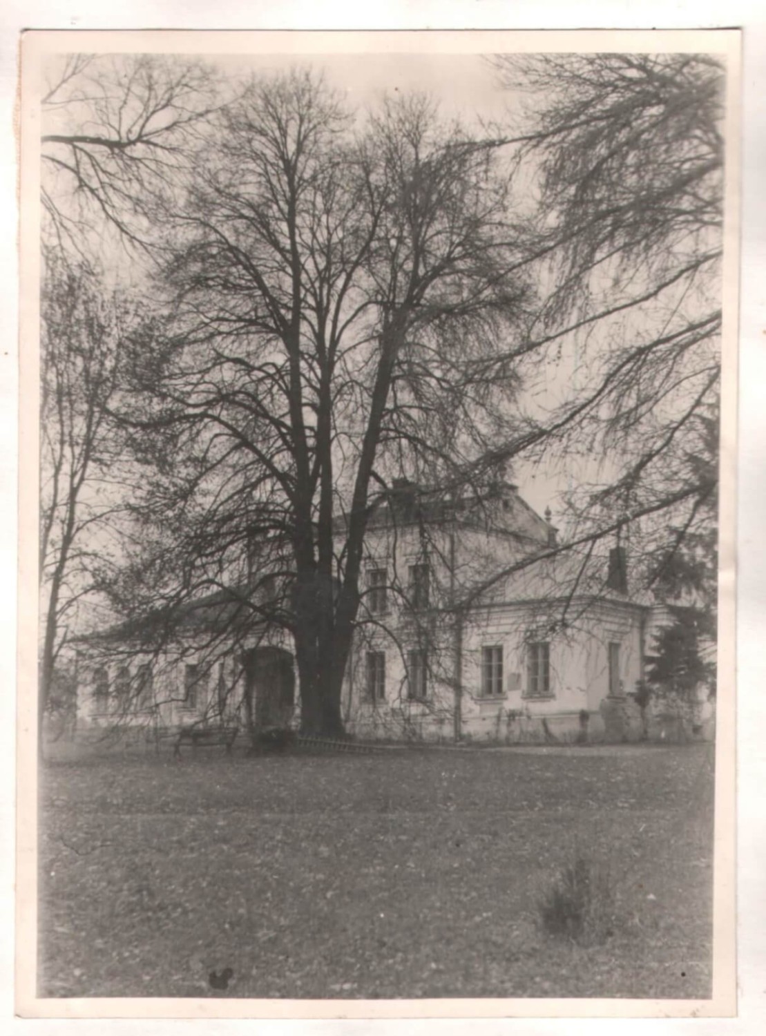 dwór pod chełmem 